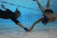 IMG_0104.jpg
